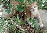 开云棋牌游戏-世界排名争夺战之夜，阿尔瓦雷斯高光表现改写格局