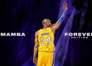 开云棋牌平台-冰与火之歌，当爵士乐在篮球场奏响，辽宁队如何破局？