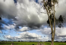 开云棋牌-白色神话降临亚平宁！皇马“误入”意甲战场，神勇无双铸就晋级传奇