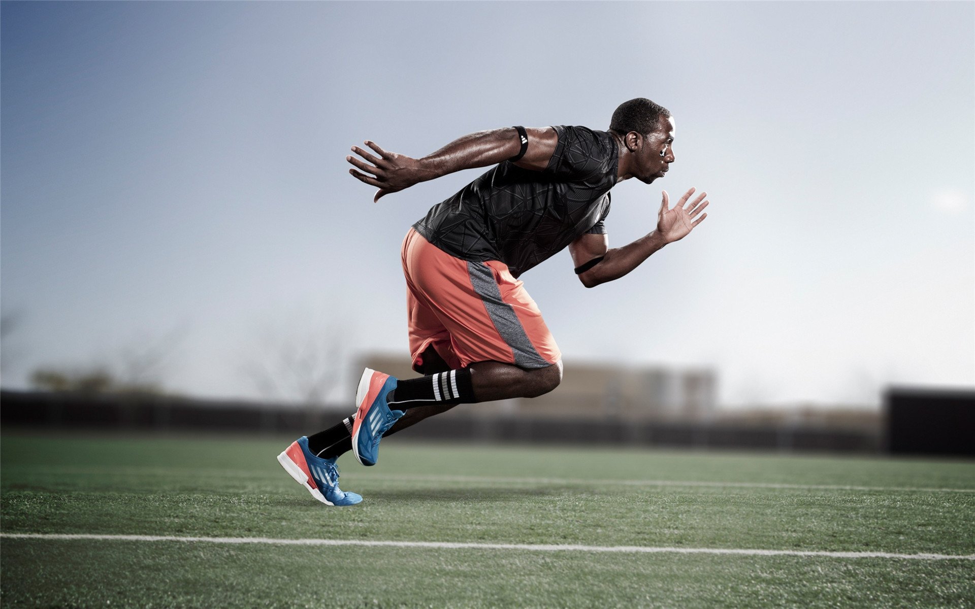 麦迪逊的异乡神迹，当贝恩在纽约写下孟菲斯注脚